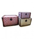 Red Chevron Trunk Set
