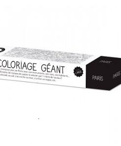 Paris Colouring Roll