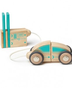 Tegu Circuit Racer