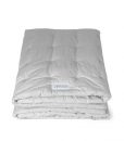 Mr Bear Quilted Cot Blanket