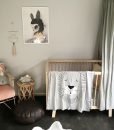 lion-blanket-2