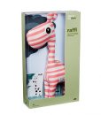 raffi-raspberry-book-2