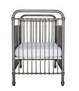 ivy-cot-2