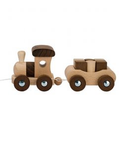 Goki Nature Train with 6 Blocks