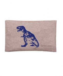 So Young Ice Pack Blue Dinosaur