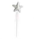 silverwand2