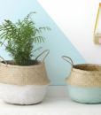 whitebellybasket2