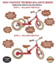 trybikered4